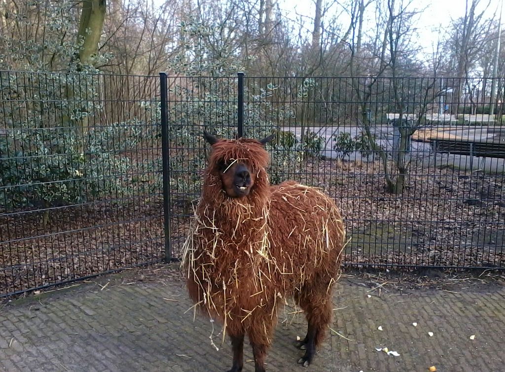 Stadsboerderij de Amsteldieren - Amsterdam